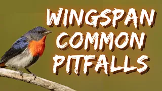 Common pitfalls in Wingspan | Avoid these traps!