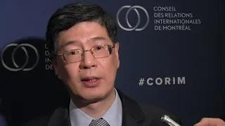 China’s ambassador rejects accusations country is abusing Muslims