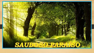 SAUDOSO PARAÍSO ****SUDMAR E ODILON - Autores - Sudmar / Tyeres