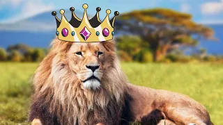 ¿Por Qué El León Es El Rey De La Selva?