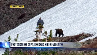 Photographer captures shot of hiker encounter with bear in Glacier National Park