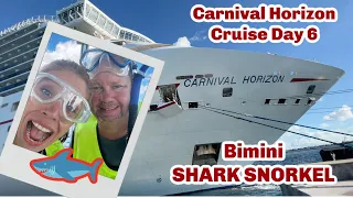 Carnival Horizon 2021 BIMINI Reef Shark Snorkel | Beach 360 | BEST Carnival Shore Excursion Bimini!