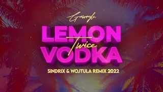 Gawryle - Lemon Vodka Twice (SINDRIX & WOJTULA REMIX) (VISUAL)