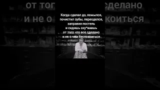 #жиза #мемы #приколы #юмор #жириновский #шаблон #шахматы