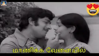 மாணிக்க வேளையில் | Manikka Velaiyil | M.S.Viswanathan | Veedu varai Uravu | Video Songs | Hd