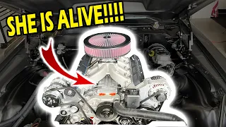 Carbureted LS7 First Fire!!! with Stage 3 Goodies!