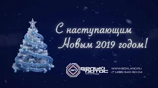 Коллектив "Белого Лотоса" поздравляет всех с наступающим 2019-ым годом!