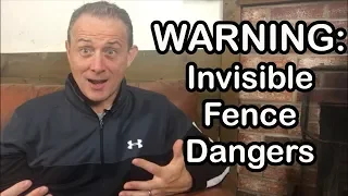 Warning: Watch This Video Before Using an Invisible Dog Fence