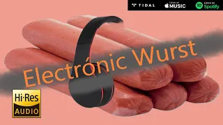 Electrónic Wurst: Remastered (Hi-Res Audio) (5k)