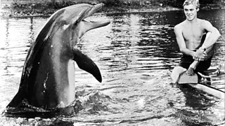 Flipper tv series with theme song