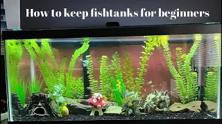 How to setup a fishtank for beginners!