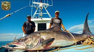 Giant Cobia fishing, How fishermen make millions of dollars from cobia fishing - Emison Newman