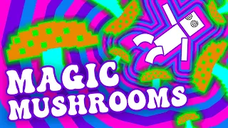 What Can Magic Mushrooms Really Do To You? 🍄