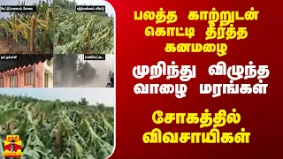 பலத்த காற்றுடன் கொட்டி தீர்த்த கனமழை - முறிந்து விழுந்த வாழை மரங்கள்.. சோகத்தில் விவசாயிகள்