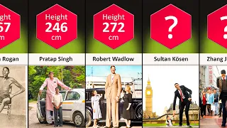 Height Comparison: Tallest People In The World | DataPoints