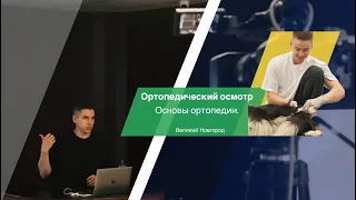 Ортопедический осмотр собак, основы ортопедии.