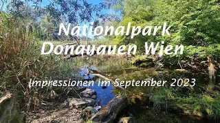 Nationalpark Donauauen Wien: Natur-Impressionen September 2023