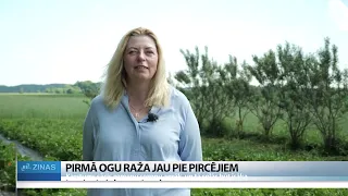 ReTV: Zemenes ir kā cimperlīgas meitenes