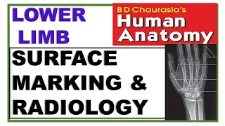 Chp14 BDC Vol2 | Lower Limb | Surface Anatomy and Radiology of Lower Limbs | Dr Asif Lectures