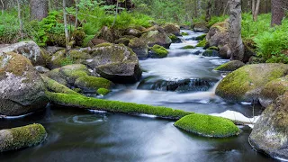 Environment Matters - Clean Water Act 50th Anniversary