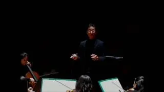 Haydn Symphony No. 102 4th mvt. Finale: Presto