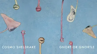 Cosmo Sheldrake - Gnort or Gnortle