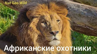 Nat Geo Wild. Африканские охотники. Гордость и предубеждение.