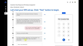 IVR setup testing