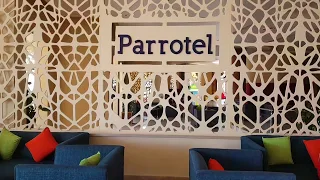 Parrotel Beach Resort 5* #Египет  #СчастливоеПутешествие Обзор отеля.