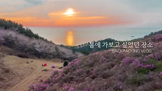 A $200 trip to go backpacking among azaleas - Geoje Island's famous azalea flower attractions