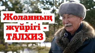 Талхиз| Ат дайындау жүйесі| Ат таңдау| Қолтума| Жылқы тамағы| Допинг|