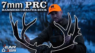 7mm PRC Hammers Cheater Buck - Seth Swerczek from Hornady | 4K FILM | Muley Freak