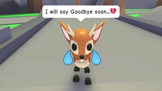 Goodbye To a World - Adopt Me Woodland Egg (Roblox)