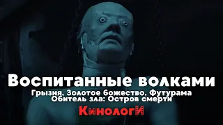 Кинологи. Грызня золотой лихорадки и воспитанных волками