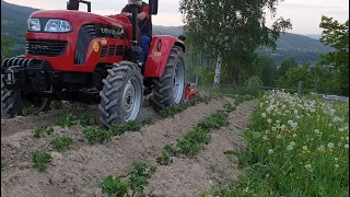 Підгортаєм картоплю з їжаками,перший виїзд на підготування,так можна підгортати😄