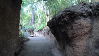 San Diego Zoo - 03-16-2021 - 4K