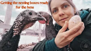 Building nesting boxes for our chicken & turkey hens. #diy #eggs #homestead #maritime #birds