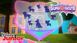 🎆 Urmărirea hoților de artificii! | Super Pisicuțe | Disney Junior România