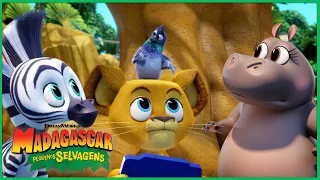 Ganhando no Videogame 🎮 | DreamWorks Madagascar em Português