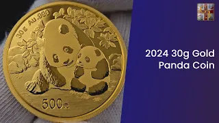 Everything You Need to Know About The 30g Gold Panda Coin