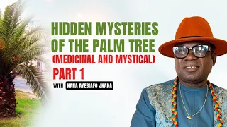 POWERFUL MEDICINAL AND MYSTICAL USE OF THE PALM TREE BY @jnanacaksusdas572
