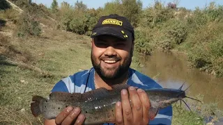 Сом Меня удивил! Рыбалка в Ташкенте 17 км от города!