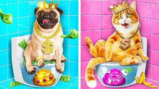 ¡Perro Rico VS Gato Pobre! Habitación Secreta Cara VS Barata Para Mascotas