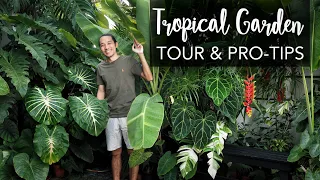 DREAM BIG in a tiny Tropical Garden (280 sqft) + Pro Gardening Tips ft. the legendary Farren Wayne