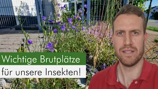 Naturgarten - So helfen wir unseren Insekten weiter!