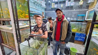 زيارة عند حسن🔥عشاق أسماك الزينة أكواريوم أكسيسوارات فرجة ممتعة #سوق_القريعة