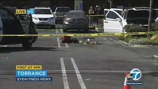 VIDEO: Torrance police fatally shoot man allegedly brandishing knife | ABC7