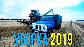 УБОРКА ПШЕНИЦЫ 2019 | HARVESTING UKRAINE