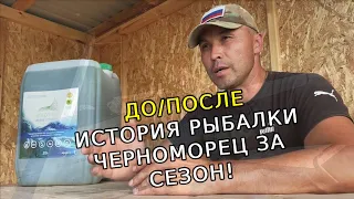 Очистка водоема хлореллой за сезон. ДО / ПОСЛЕ #технологияальготек