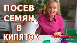 Посев семян в кипяток. Осторожно, невероятные результаты.